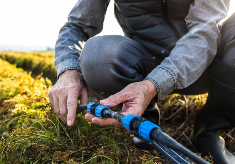Upgrading Fire Sprinkler Components